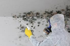 Best Emergency Mold Remediation  in Kingman, AZ